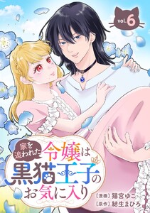 家を追われた令嬢は黒猫王子のお気に入り～呪われた黒猫は姿を消した王子様でした～【分冊版】 (6)