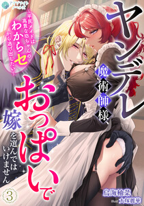 ヤンデレ魔術師様、おっぱいで嫁を選んではいけません～平民メイドは高貴な坊ちゃんのわからセから逃げ出したい～(3) 電子書籍版