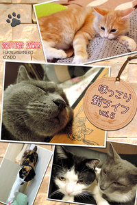 ほっこり猫ライフ vol.5 電子書籍版