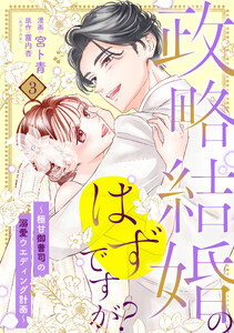 【単行本】政略結婚のはずですが? ～極甘御曹司の溺愛ウエディング計画～ 3
