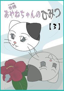 寺娘 あやねちゃんのひみつ (3)