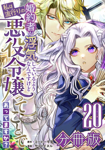 婚約者が浮気しているようなんですけど私は流行りの悪役令嬢ってことであってますか?【分冊版】20 電子書籍版