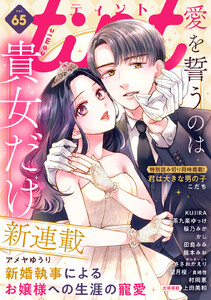 comic tint vol.65 電子書籍版