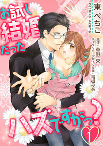 お試し結婚だったハズですがっ?【第1話】