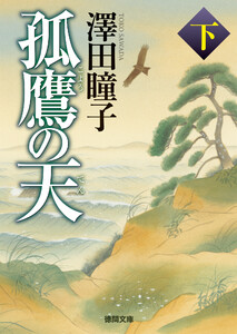 孤鷹の天 下〈新装版〉 電子書籍版