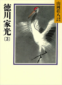 徳川家光 (3) 電子書籍版