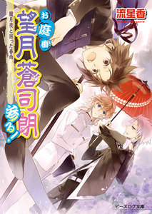 お庭番望月蒼司朗参る!12 朧月夜と困った春雨 電子書籍版