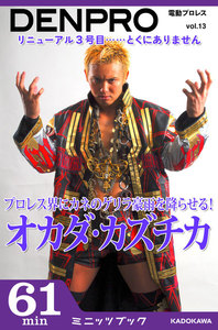 電動プロレス vol.13 電子書籍版