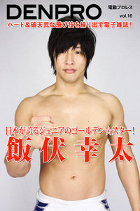 電動プロレス vol.16 電子書籍版