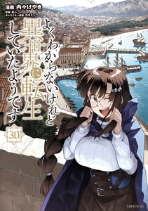 よくわからないけれど異世界に転生していたようです (30)