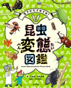 生きかたイロイロ! 昆虫変態図鑑