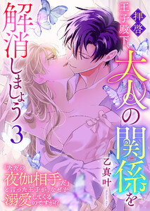拝啓王子殿下、大人の関係を解消しましょう ～「ただの夜伽相手だ」と言った王子が、なぜか溺愛してくるのですが!? ～(3)