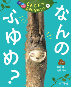 なんの ふゆめ?6 つぼみ・たね・はっぱ・・・ しょくぶつ これ、なあに? 電子書籍版