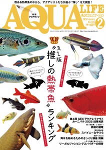 アクアライフ 2026年2月号