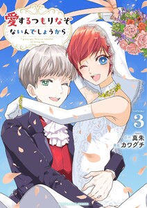 愛するつもりなぞないんでしょうから (3)