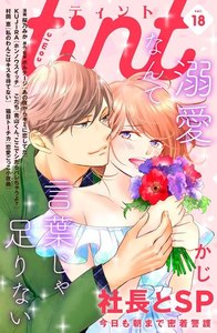 comic tint vol.18 電子書籍版