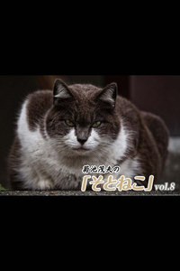 菊池茂夫の「そとねこ」vol.8 電子書籍版