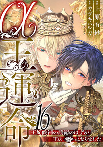 α王の運命～王妃候補の護衛のはずが王の番になりました～ (16)