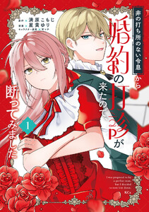 非の打ち所のない令息から婚約の打診が来たので、断ってみました (1)