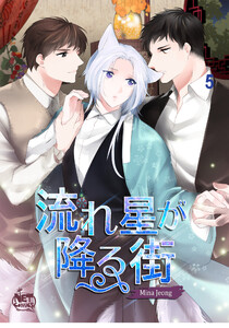 流れ星が降る街 (5) 電子書籍版
