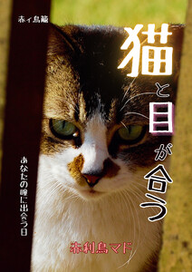 猫と目が合う ～あなたの瞳に出会う日～