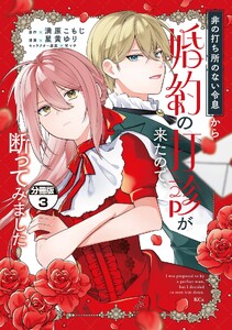 非の打ち所のない令息から婚約の打診が来たので、断ってみました 分冊版 (3) 電子書籍版