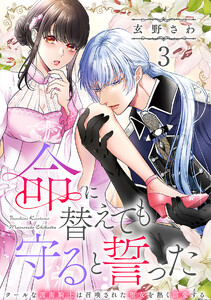 命に替えても守ると誓った～クールな護衛騎士は召喚された聖女を熱く溺愛する～【コイパレ】(3) 電子書籍版