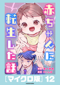 赤ちゃんに転生した話[マイクロ版]12 電子書籍版