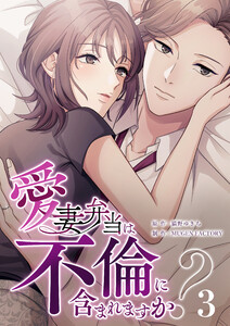 【単行本】愛妻弁当は不倫に含まれますか? 第3巻