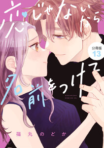 恋じゃないなら名前をつけて 分冊版 (13) 電子書籍版