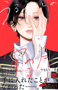 うるわしの宵の月 プチデザ (37)