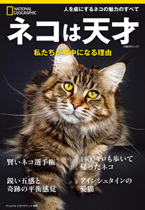 ネコは天才 私たちが夢中になる理由 電子書籍版