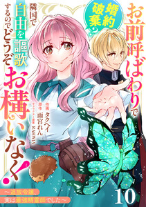 Berry’sFantasyお前呼ばわりで婚約破棄?隣国で自由を謳歌するのでどうぞお構いなく!～追放令嬢、実は最強精霊師でした～10巻