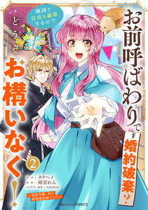 お前呼ばわりで婚約破棄?隣国で自由を謳歌するのでどうぞお構いなく!～追放令嬢、実は最強精霊師でした～2巻