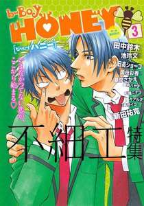 b-BOY HONEY (3) 不細工特集 電子書籍版