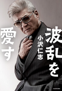 波乱を愛す 電子書籍版