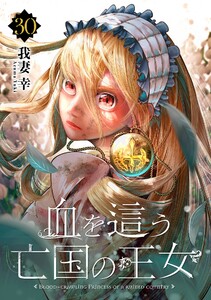 血を這う亡国の王女【分冊版】 (30)