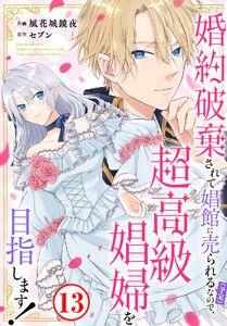 婚約破棄されて娼館に売られる(予定)なので、超高級娼婦を目指します! (13)