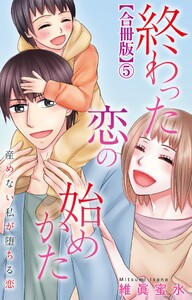 終わった恋の始めかた 産めない私が堕ちる恋 【合冊版】 (5)