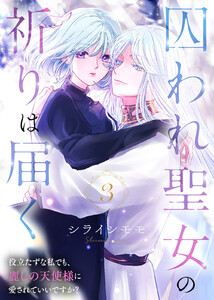 囚われ聖女の祈りは届く~役立たずな私でも、麗しの天使様に愛されていいですか?~(3) 電子書籍版