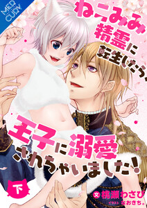 ねこみみ精霊に転生したら、王子に溺愛されちゃいました!【合本版】[下巻] 電子書籍版