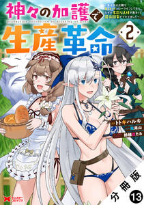 神々の加護で生産革命~異世界の片隅でまったりスローライフしてたら、なぜか多彩な人材が集まって最強国家ができてました~(コミック) 分冊版 : 13 電子書籍版