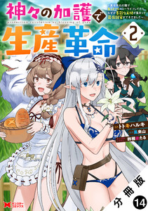神々の加護で生産革命~異世界の片隅でまったりスローライフしてたら、なぜか多彩な人材が集まって最強国家ができてました~(コミック) 分冊版 : 14 電子書籍版