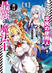 ただの平民の使用人、実は最強の魔法士 1 ～真の実力がバレた結果、姫様たちが離してくれない～