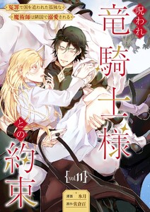 呪われ竜騎士様との約束～冤罪で国を追われた孤独な魔術師は隣国で溺愛される～【分冊版】 11話 電子書籍版