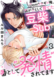Domウサギの俺、我が子として育てた豆柴Subに番として“発情”されてます (3) 電子書籍版