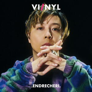 VI/NYL #032 .ENDRECHERI. 電子書籍版