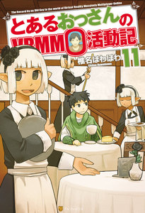 とあるおっさんのVRMMO活動記11 電子書籍版