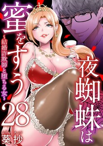 夜蜘蛛は蜜をすう～結婚詐欺師と堕ちる女～ 第28話 芸能人気取りSNS系高飛車キャバ嬢(6) 電子書籍版