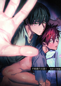 不純雄穴交遊 (3)秘密の作戦編 電子書籍版